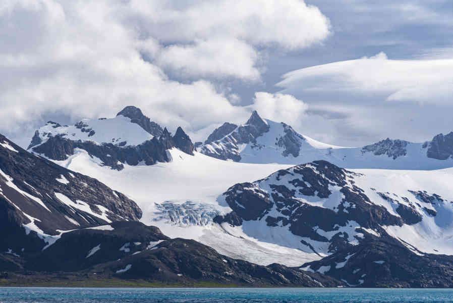 Islas Georgias del Sur 002.jpg